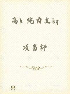高h 纯肉文bg